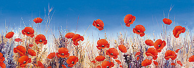 Array Poppy Landscape von Hilary Mayes