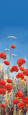 Array Summer Poppies I von Hilary Mayes