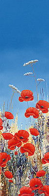 Array Summer Poppies II von Hilary Mayes