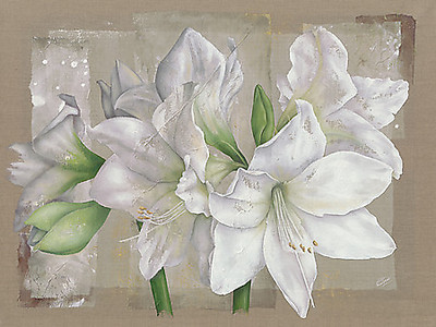 Array Amaryllis Blanc von Virginie Cadoret