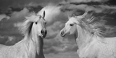 Array A breezy Day von Jorge Llovet