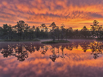 Array Dawn von Hans Strand