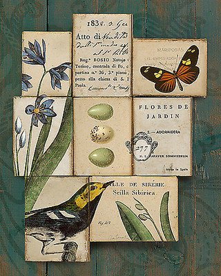 Array Birds and Butterflies I von Sue Schlabach