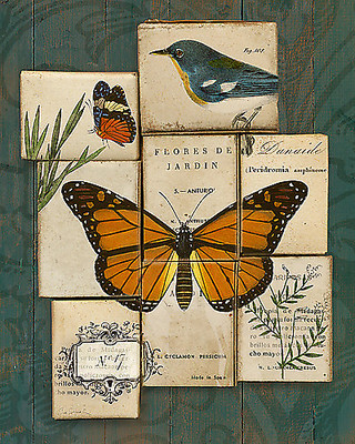 Array Birds and Butterflies II von Sue Schlabach