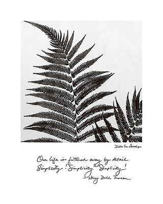 Array Delicate Ferns von Debra van Swearingen