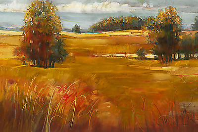 Array October Light von Carol Rowan