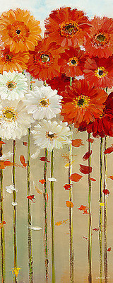 Array Daisies Fall II von Danhui Nai