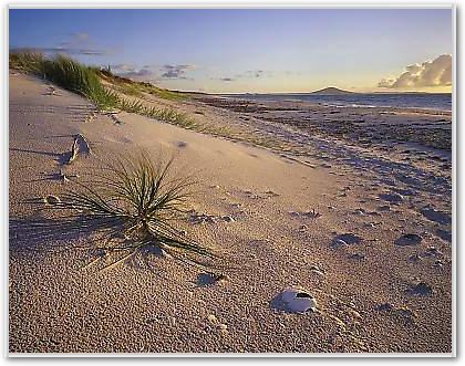 Northland Karikari Bay von POPP-HACKNER