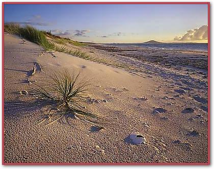 Northland Karikari Bay von POPP-HACKNER