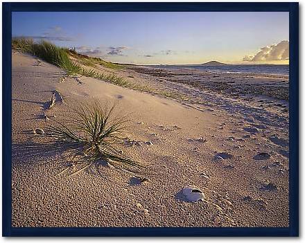 Northland Karikari Bay von POPP-HACKNER