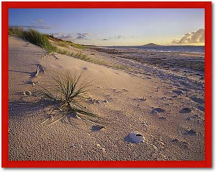 Northland Karikari Bay von POPP-HACKNER