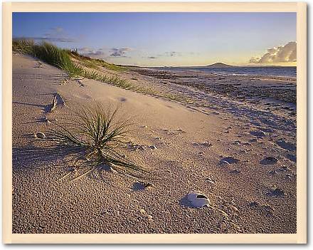 Northland Karikari Bay von POPP-HACKNER