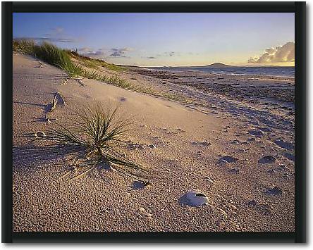 Northland Karikari Bay von POPP-HACKNER