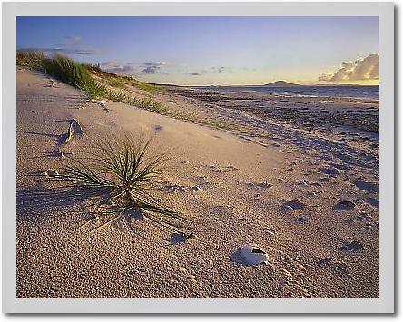 Northland Karikari Bay von POPP-HACKNER