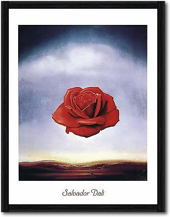 Rose meditative von DALÍ