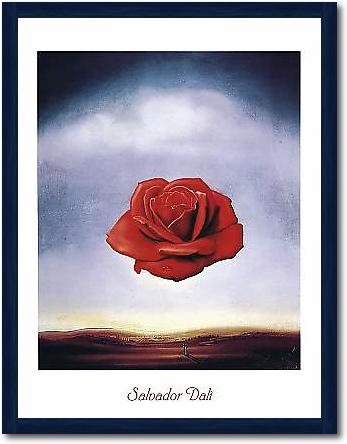 Rose meditative von DALÍ