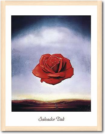 Rose meditative von DALÍ