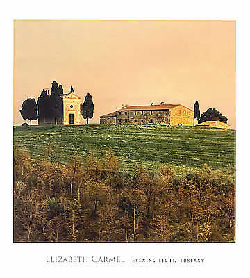 Evening Light, Tuscany von CARMEL,ELIZABET