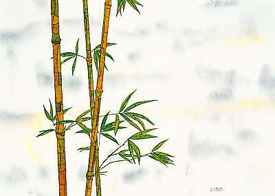 Bambus von FERNER,MICHAEL