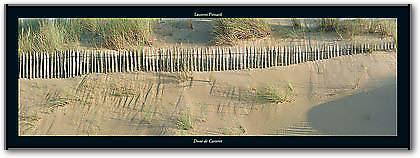 Dune de Carteret von PINSARD