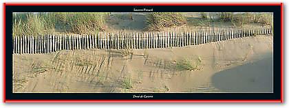 Dune de Carteret von PINSARD