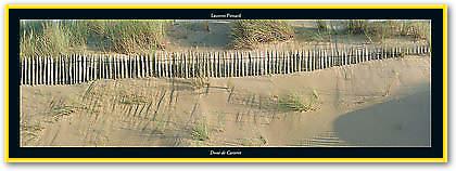 Dune de Carteret von PINSARD