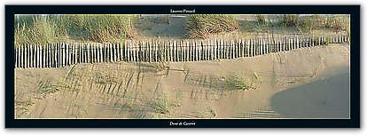 Dune de Carteret von PINSARD