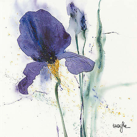 Iris I von Marthe, 