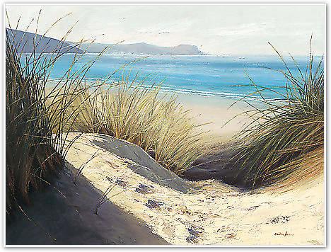 Dune Shadows von Atkinson, Caroline