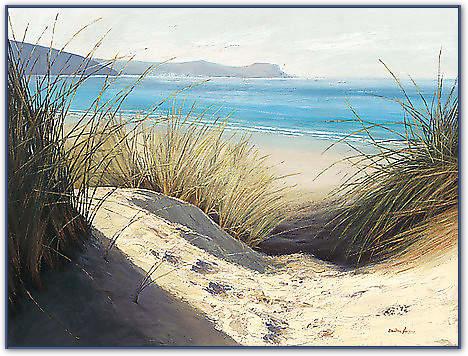 Dune Shadows von Atkinson, Caroline