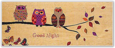 Good Night Owl von Wild Apple Portfolio, 