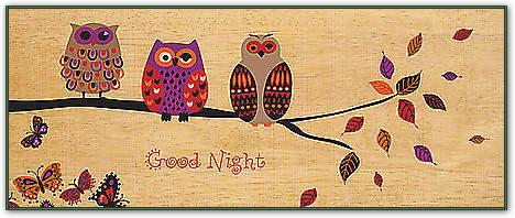 Good Night Owl von Wild Apple Portfolio, 