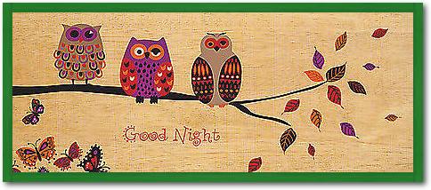 Good Night Owl von Wild Apple Portfolio, 