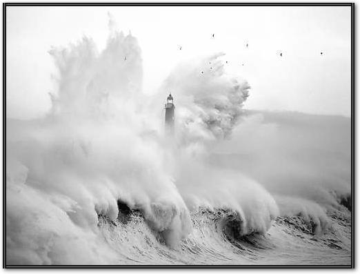 Birds in the Storm von Marina Cano