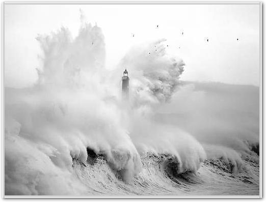 Birds in the Storm von Marina Cano