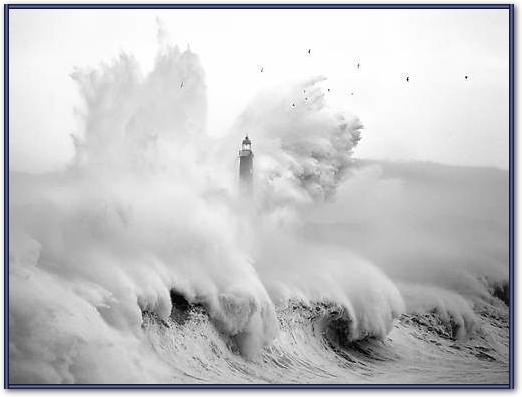 Birds in the Storm von Marina Cano