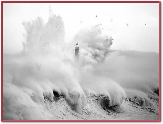 Birds in the Storm von Marina Cano