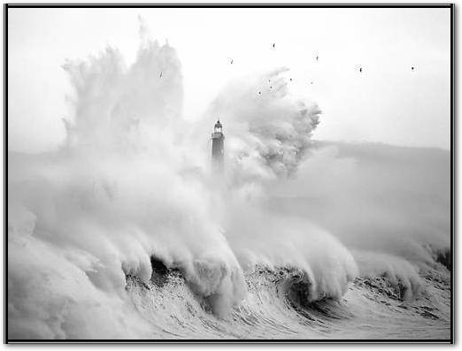 Birds in the Storm von Marina Cano