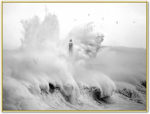 Birds in the Storm von Marina Cano