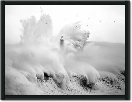 Birds in the Storm von Marina Cano