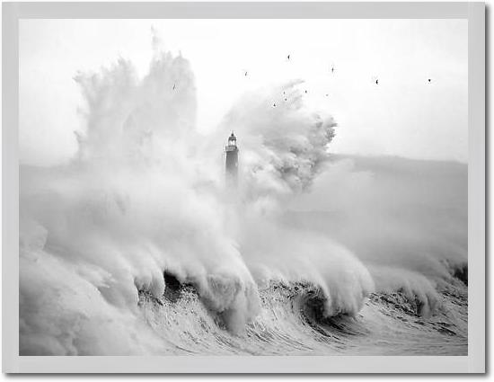 Birds in the Storm von Marina Cano