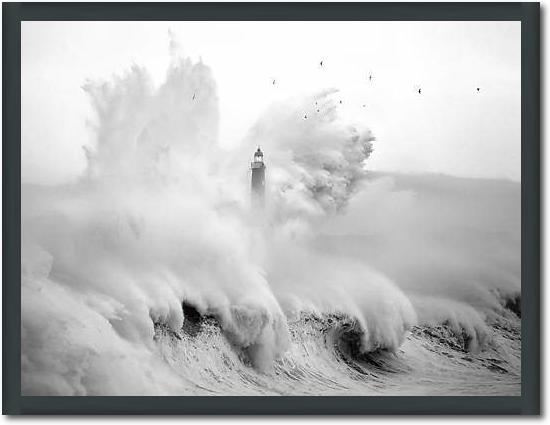 Birds in the Storm von Marina Cano