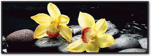 Still life with orange orchid with water von crystalfoto