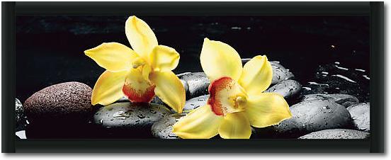 Still life with orange orchid with water von crystalfoto