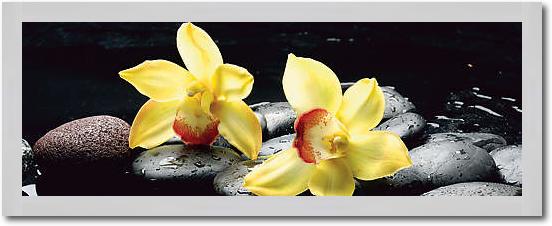 Still life with orange orchid with water von crystalfoto