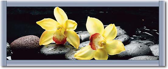 Still life with orange orchid with water von crystalfoto