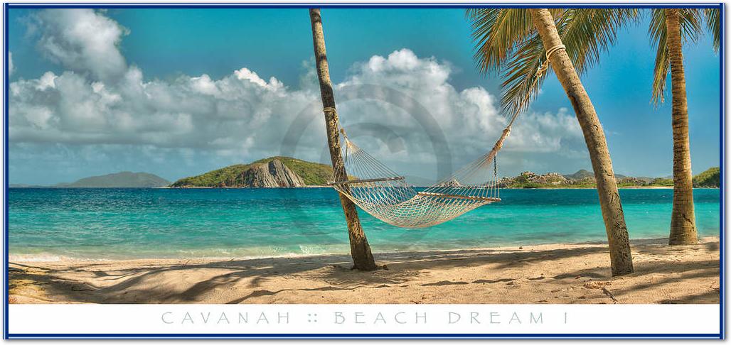 Beach Dream I                    von Doug Cavanah