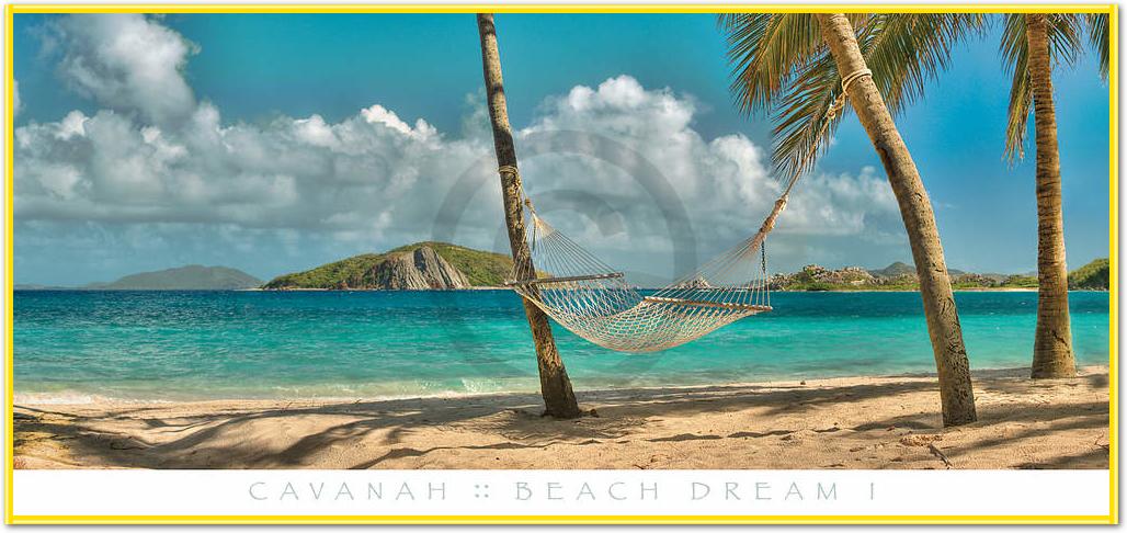 Beach Dream I                    von Doug Cavanah