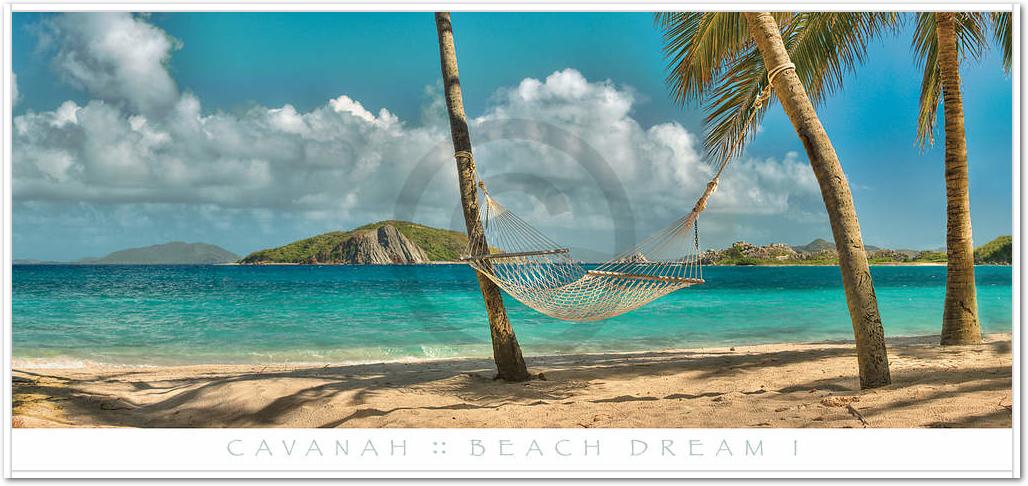 Beach Dream I                    von Doug Cavanah