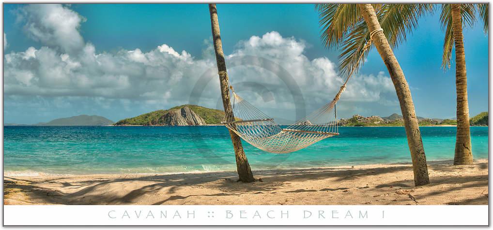 Beach Dream I                    von Doug Cavanah